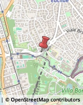 Viale Bruno Buozzi, 102,00197Roma