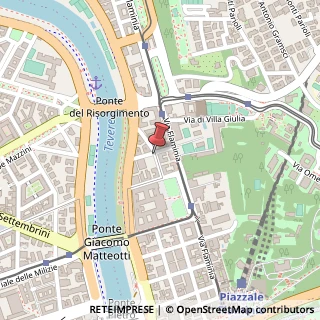 Mappa Via Cardinale de Luca, 22, 00196 Roma, Roma (Lazio)