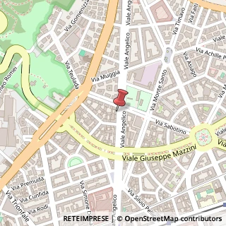 Mappa Viale Angelico, 87, 00195 Roma, Roma (Lazio)