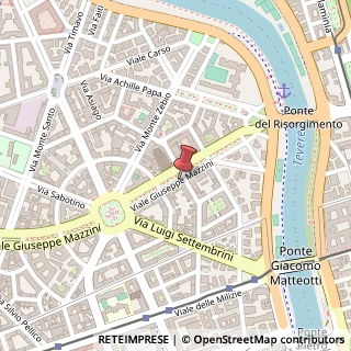 Mappa Viale Giuseppe Mazzini, 13, 00195 Roma, Roma (Lazio)