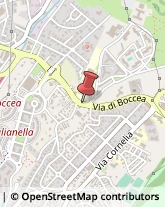 Via di Boccea, 453,00166Roma