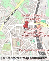 Via Andrea Fulvio, 13,00162Roma