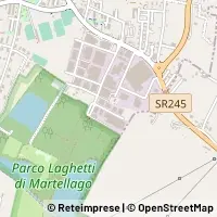 Map Martellago