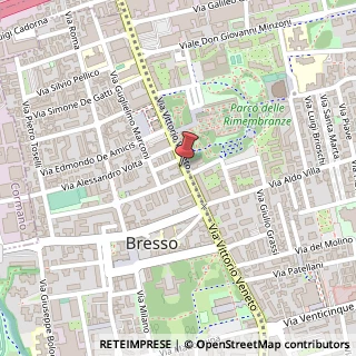 Mappa Via Vittorio Veneto, 22A, 20091 Bresso, Milano (Lombardia)