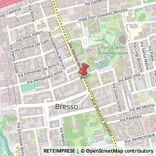 Mappa Via Vittorio Veneto, 24/A, 20091 Bresso, Milano (Lombardia)