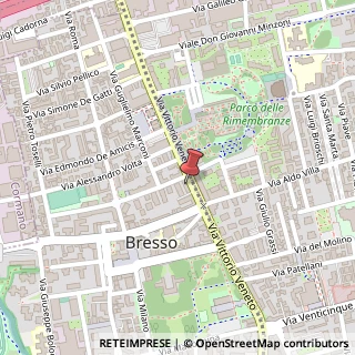 Mappa Via Vittorio Veneto, 32, 20091 Bresso, Milano (Lombardia)