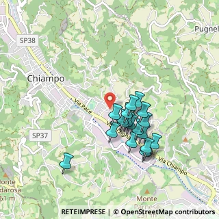 Mappa Via Monte Grappa, 36072 Chiampo VI, Italia (0.78053)