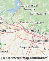 Agenzie di Animazione e Spettacolo Roncadelle,25030Brescia