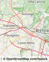 Agenzie di Animazione e Spettacolo Rovato,25038Brescia