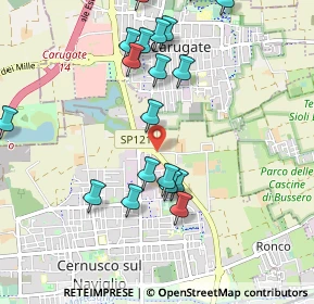 Mappa SP 121, 20063 Cernusco sul Naviglio MI (1.1145)