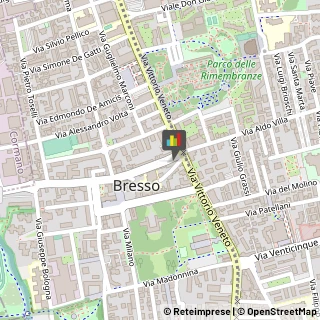 Agenzie di Vigilanza e Sorveglianza Bresso,20091Milano