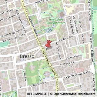 Mappa Via Vittorio Veneto, 13, 20091 Bresso, Milano (Lombardia)