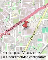 Via Francesco Petrarca, 31,20093Cologno Monzese