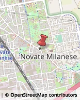 Via Giuseppe Garibaldi, 20,20026Novate Milanese