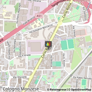 Vendite per Corrispondenza Cologno Monzese,20093Milano