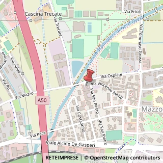 Mappa Via Vincenzo Monti, 41, 20017 Rho, Milano (Lombardia)