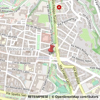 Mappa Via Alberto Mario, 40, 25121 Brescia, Brescia (Lombardia)