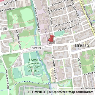 Mappa Viale Cardinale Borromeo, 4, 20032 Cormano, Milano (Lombardia)