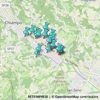 Mappa Via Arzignano, 36072 Chiampo VI, Italia (0.54)