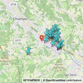 Mappa Via Lago di Tovel, 36072 Chiampo VI, Italia (0.66737)
