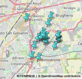 Mappa Via Monte Rosa, 20093 Cologno Monzese MI, Italia (1.1)