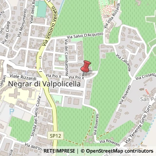 Mappa Via San Pio X, 13A, 37024 Cerea, Verona (Veneto)