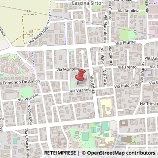 Mappa Via Visconti, 18, 20063 Cernusco sul Naviglio, Milano (Lombardia)