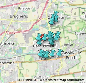 Mappa Via Visconti, 20063 Cernusco sul Naviglio MI, Italia (1.232)