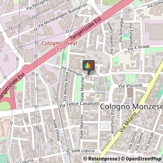 Ecografia e Radiologia - Studi Cologno Monzese,20093Milano