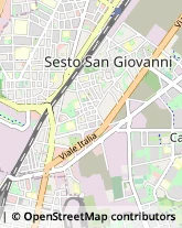 Via Dante Alighieri, 75,20099Sesto San Giovanni