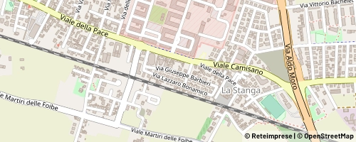 Mappa Vicence