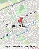 Via Cavour, 22,20064Gorgonzola