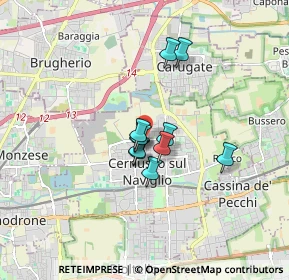 Mappa Via Adua, 20063 Cernusco sul Naviglio MI, Italia (1.06545)