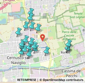 Mappa Via Madre Teresa di Calcutta, 20063 Cernusco sul Naviglio MI, Italia (0.9435)