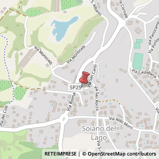 Mappa Via San Carlo B., 48, 25080 Soiano del Lago, Brescia (Lombardia)