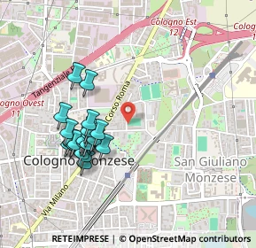 Mappa Via Negrinelli, 20093 Cologno Monzese MI, Italia (0.4445)
