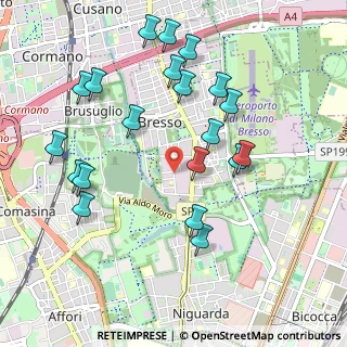 Mappa Via Lillo del Duca, 20091 Bresso MI, Italia (1.0585)