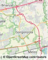 Giornalai Gorgonzola,20064Milano