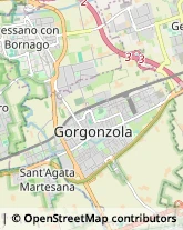 Giornalai Gorgonzola,20064Milano