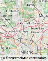 Pelli per Pellicceria Bovisio-Masciago,20813Monza e Brianza