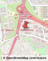 Via Orazio Raimondo, 19,00133Roma