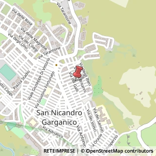 Mappa Via dei Galli, 14, 71015 San Nicandro Garganico, Foggia (Puglia)