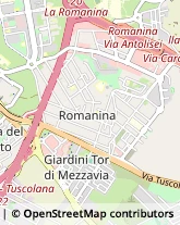 Via Manlio Torquato, 12,00181Roma