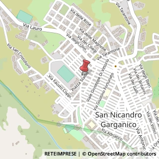 Mappa Via San Francesco D'Assisi, 9, 71015 San Nicandro Garganico, Foggia (Puglia)