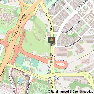 Animali Domestici - Centri Allevamento e Addestramento,00142Roma