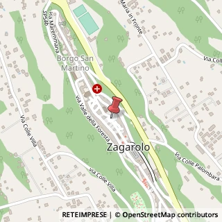 Mappa Via Antonio Fabrini, 11, 00039 Zagarolo, Roma (Lazio)