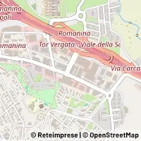 Map Roma