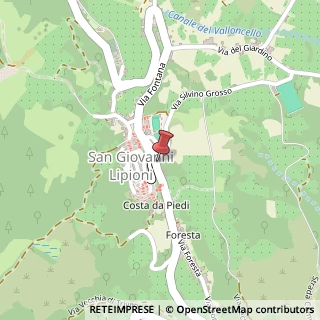 Mappa Via Colonnello Roberto Lozzi, 41, 66050 San Giovanni Lipioni, Chieti (Abruzzo)