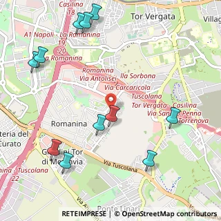 Mappa Largo Riccardo Monaco, 00173 Roma RM, Italia (1.42455)