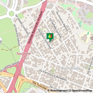 Via Ignazio Scimonelli, 152,00173Roma